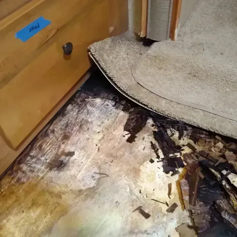 Best Wood Floor Water Damage Service in Huber Heights, OH